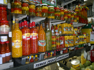 imagens-068site